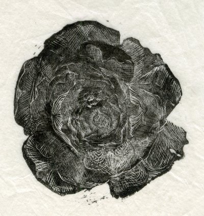 Pine Rose by Unbekannt Unbekannt